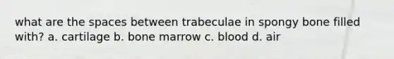 what are <a href='https://www.questionai.com/knowledge/k0Lyloclid-the-space' class='anchor-knowledge'>the space</a>s between trabeculae in spongy bone filled with? a. cartilage b. bone marrow c. blood d. air