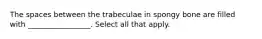 The spaces between the trabeculae in spongy bone are filled with _________________. Select all that apply.