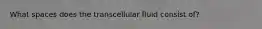 What spaces does the transcellular fluid consist of?