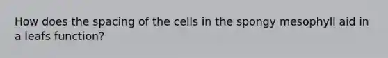 How does the spacing of the cells in the spongy mesophyll aid in a leafs function?