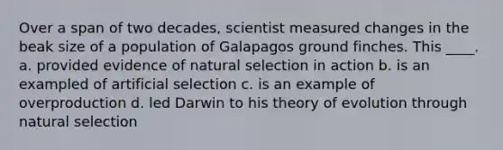 Over a span of two decades, scientist measured changes in the beak size of a population of Galapagos ground finches. This ____. a. provided evidence of natural selection in action b. is an exampled of artificial selection c. is an example of overproduction d. led Darwin to his theory of evolution through natural selection