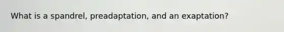What is a spandrel, preadaptation, and an exaptation?