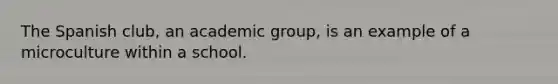 The Spanish club, an academic group, is an example of a microculture within a school.