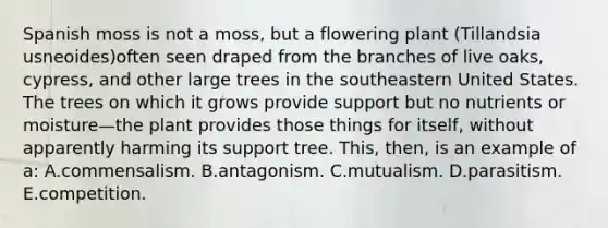 Spanish moss is not a moss, but a flowering plant (Tillandsia usneoides)often seen draped from the branches of live oaks, cypress, and other large trees in the southeastern United States. The trees on which it grows provide support but no nutrients or moisture—the plant provides those things for itself, without apparently harming its support tree. This, then, is an example of a: A.commensalism. B.antagonism. C.mutualism. D.parasitism. E.competition.