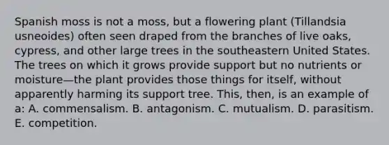 Spanish moss is not a moss, but a flowering plant (Tillandsia usneoides) often seen draped from the branches of live oaks, cypress, and other large trees in the southeastern United States. The trees on which it grows provide support but no nutrients or moisture—the plant provides those things for itself, without apparently harming its support tree. This, then, is an example of a: A. commensalism. B. antagonism. C. mutualism. D. parasitism. E. competition.