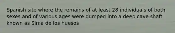 Spanish site where the remains of at least 28 individuals of both sexes and of various ages were dumped into a deep cave shaft known as Sima de los huesos