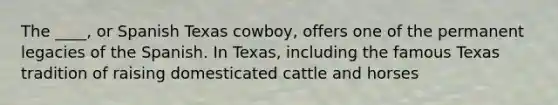 The ____, or Spanish Texas cowboy, offers one of the permanent legacies of the Spanish. In Texas, including the famous Texas tradition of raising domesticated cattle and horses