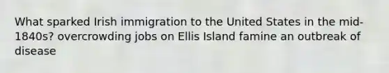 What sparked Irish immigration to the United States in the mid-1840s? overcrowding jobs on Ellis Island famine an outbreak of disease