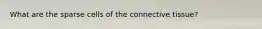 What are the sparse cells of the connective tissue?
