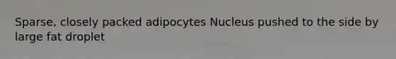 Sparse, closely packed adipocytes Nucleus pushed to the side by large fat droplet