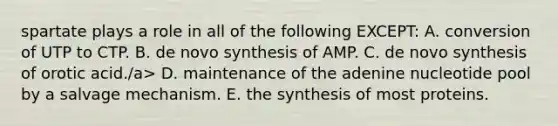 spartate plays a role in all of the following EXCEPT: A. conversion of UTP to CTP. B. de novo synthesis of AMP. C. de novo synthesis of orotic acid./a> D. maintenance of the adenine nucleotide pool by a salvage mechanism. E. the synthesis of most proteins.