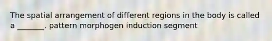 The spatial arrangement of different regions in the body is called a _______. pattern morphogen induction segment