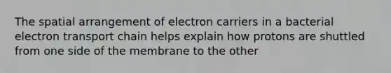 The spatial arrangement of electron carriers in a bacterial electron transport chain helps explain how protons are shuttled from one side of the membrane to the other