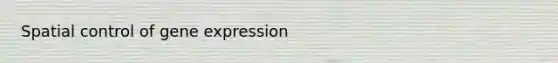 Spatial control of gene expression