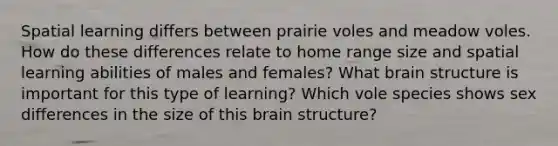 Spatial learning differs between prairie voles and meadow voles. How do these differences relate to home range size and spatial learning abilities of males and females? What brain structure is important for this type of learning? Which vole species shows sex differences in the size of this brain structure?