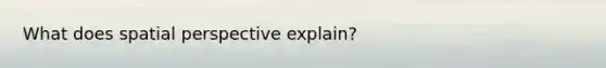 What does spatial perspective explain?