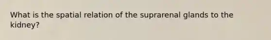 What is the spatial relation of the suprarenal glands to the kidney?