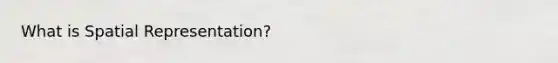 What is Spatial Representation?