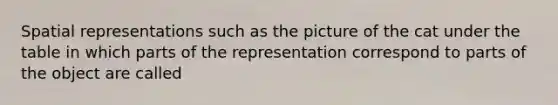 Spatial representations such as the picture of the cat under the table in which parts of the representation correspond to parts of the object are called