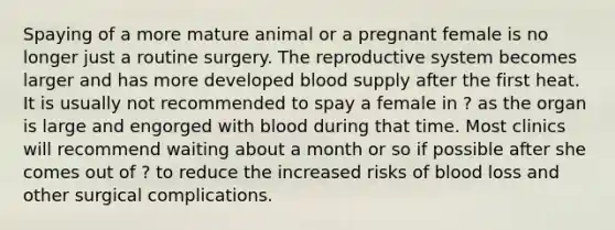 Spaying of a more mature animal or a pregnant female is no longer just a routine surgery. The reproductive system becomes larger and has more developed blood supply after the first heat. It is usually not recommended to spay a female in ? as the organ is large and engorged with blood during that time. Most clinics will recommend waiting about a month or so if possible after she comes out of ? to reduce the increased risks of blood loss and other surgical complications.