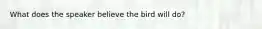 What does the speaker believe the bird will do?