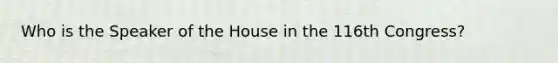 Who is the Speaker of the House in the 116th Congress?