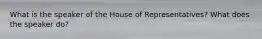 What is the speaker of the House of Representatives? What does the speaker do?