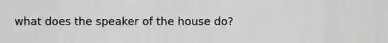 what does the speaker of the house do?