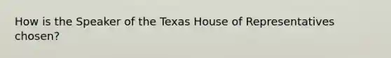 How is the Speaker of the Texas House of Representatives chosen?