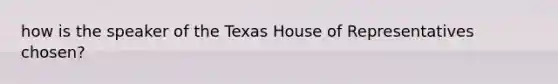 how is the speaker of the Texas House of Representatives chosen?