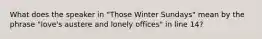 What does the speaker in "Those Winter Sundays" mean by the phrase "love's austere and lonely offices" in line 14?