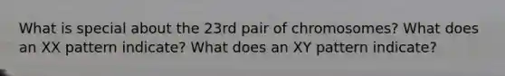 What is special about the 23rd pair of chromosomes? What does an XX pattern indicate? What does an XY pattern indicate?