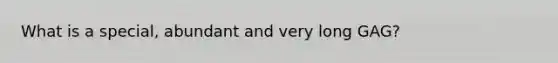 What is a special, abundant and very long GAG?
