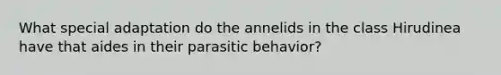 What special adaptation do the annelids in the class Hirudinea have that aides in their parasitic behavior?