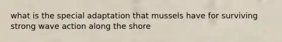 what is the special adaptation that mussels have for surviving strong wave action along the shore