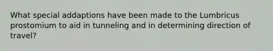 What special addaptions have been made to the Lumbricus prostomium to aid in tunneling and in determining direction of travel?