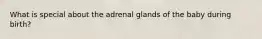 What is special about the adrenal glands of the baby during birth?