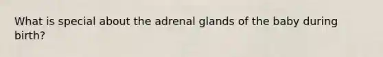 What is special about the adrenal glands of the baby during birth?