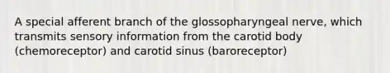 A special afferent branch of the glossopharyngeal nerve, which transmits sensory information from the carotid body (chemoreceptor) and carotid sinus (baroreceptor)