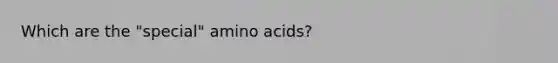 Which are the "special" amino acids?