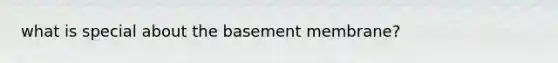 what is special about the basement membrane?