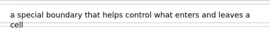 a special boundary that helps control what enters and leaves a cell