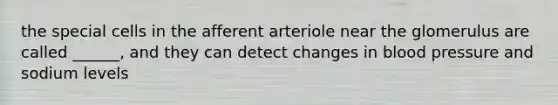 the special cells in the afferent arteriole near the glomerulus are called ______, and they can detect changes in blood pressure and sodium levels