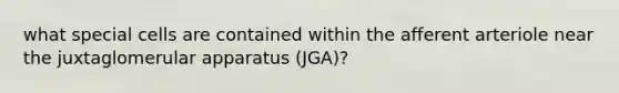 what special cells are contained within the afferent arteriole near the juxtaglomerular apparatus (JGA)?