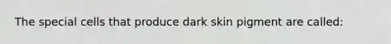 The special cells that produce dark skin pigment are called: