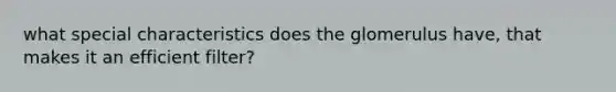 what special characteristics does the glomerulus have, that makes it an efficient filter?