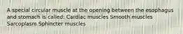 A special circular muscle at the opening between the esophagus and stomach is called: Cardiac muscles Smooth muscles Sarcoplasm Sphincter muscles