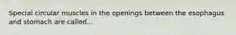 Special circular muscles in the openings between the esophagus and stomach are called...