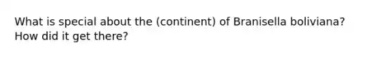 What is special about the (continent) of Branisella boliviana? How did it get there?