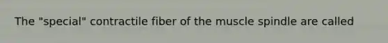 The "special" contractile fiber of the muscle spindle are called